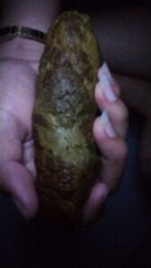 Free Scat Porn