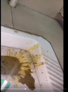 Free Scat Porn