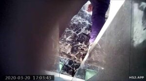 Free Scat Porn