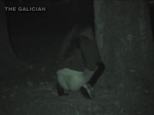 Free Scat Porn