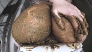 Free Scat Porn