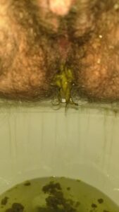 Free Scat Porn