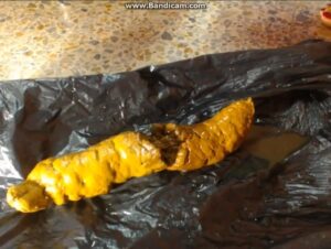 Free Scat Porn