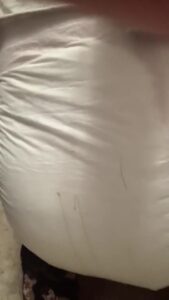 Free Scat Porn