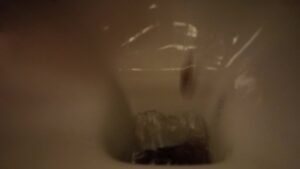 Free Scat Porn