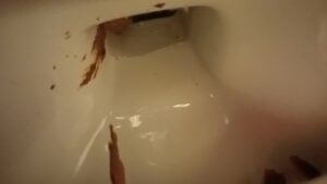Free Scat Porn
