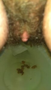 Free Scat Porn