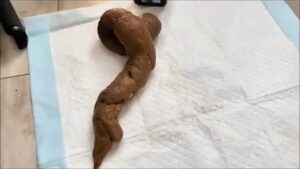Free Scat Porn