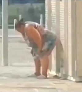 Free Scat Porn