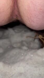 Free Scat Porn