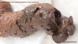 Free Scat Porn