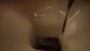 Free Scat Porn