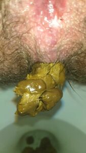 Free Scat Porn