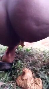 Free Scat Porn
