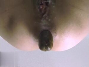 Free Scat Porn