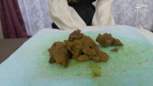 Free Scat Porn