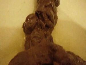Free Scat Porn
