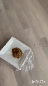 Free Scat Porn