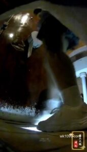 Free Scat Porn