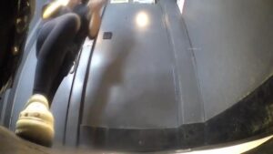 Free Scat Porn