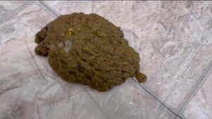 Free Scat Porn
