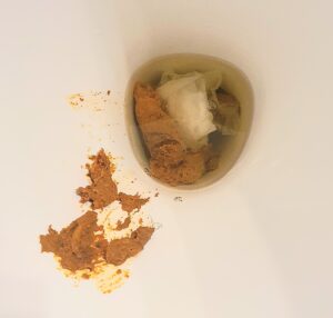 Free Scat Porn