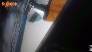 Free Scat Porn