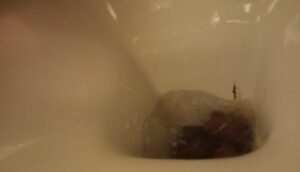 Free Scat Porn