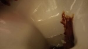 Free Scat Porn