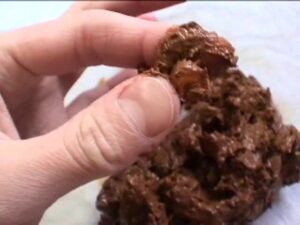 Free Scat Porn