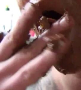 Free Scat Porn