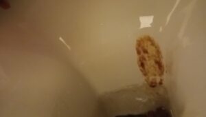 Free Scat Porn