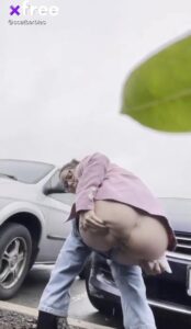 Free Scat Porn