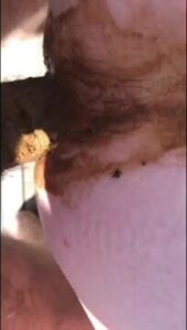 Free Scat Porn