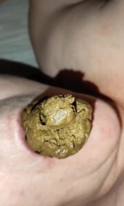 Free Scat Porn
