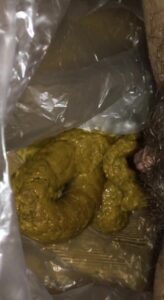 Free Scat Porn