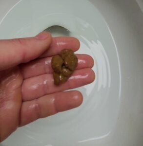 Free Scat Porn