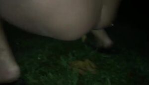Free Scat Porn