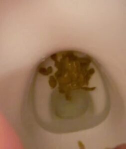 Free Scat Porn