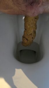Free Scat Porn