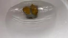Free Scat Porn