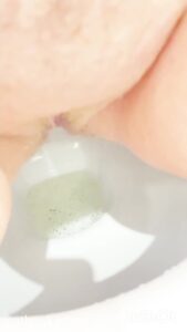 Free Scat Porn