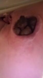 Free Scat Porn