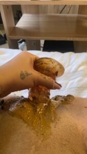 Free Scat Porn