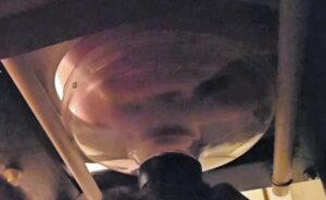 Free Scat Porn
