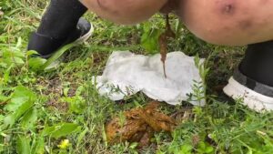 Free Scat Porn