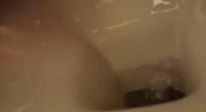 Free Scat Porn