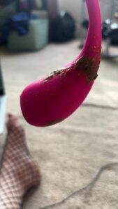 Free Scat Porn