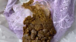 Free Scat Porn