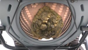 Free Scat Porn